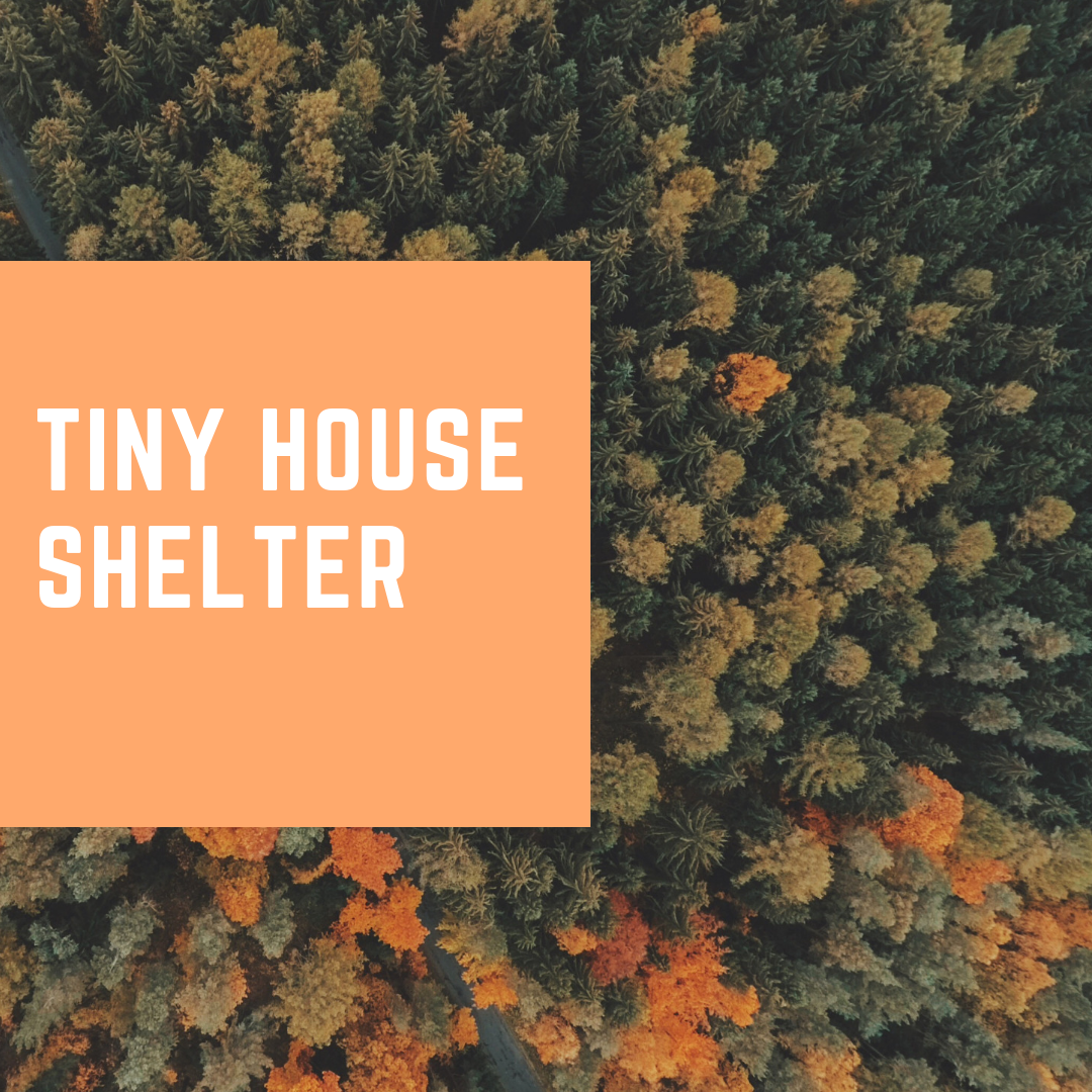 tiny house shelter