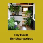 Mach mal grün: Zimmerpflanzen für das Tiny-House